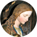 Judith M. profile picture