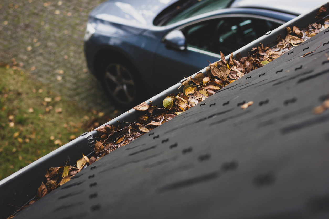 a photo of gutters full of leaves in the fall
