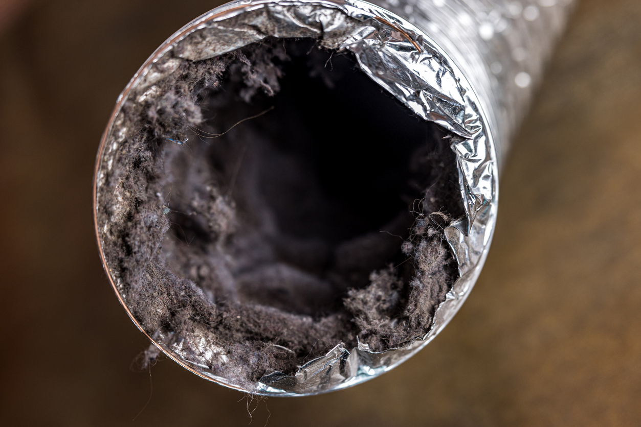 A photo of a dirty dryer vent tube